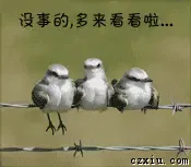 ����鿴��һ��: u=802630595
