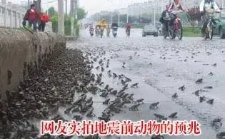 ����鿴��һ��: 1