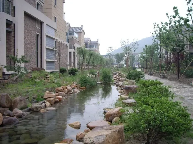 IMGP2098