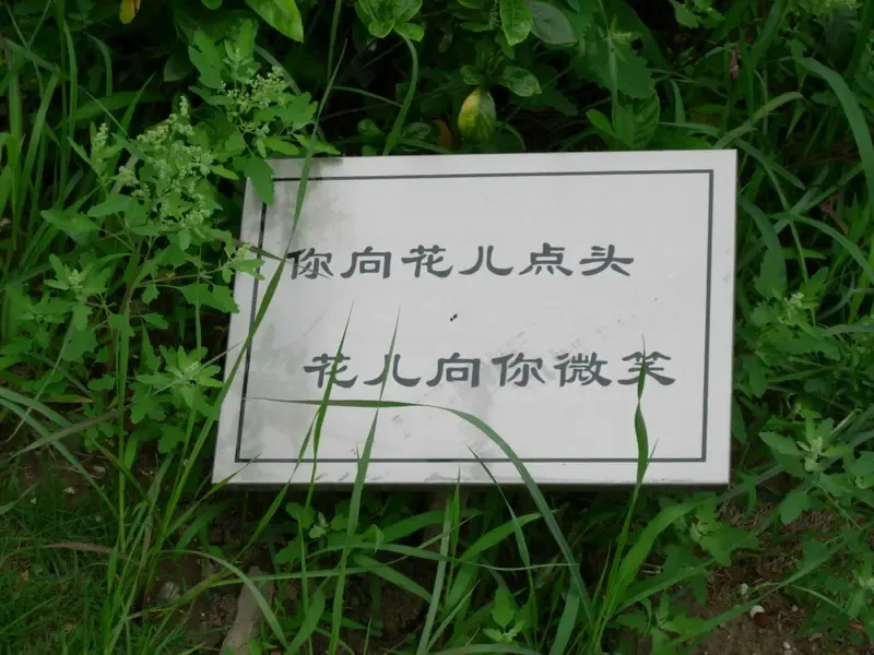 ����鿴��һ��: 1