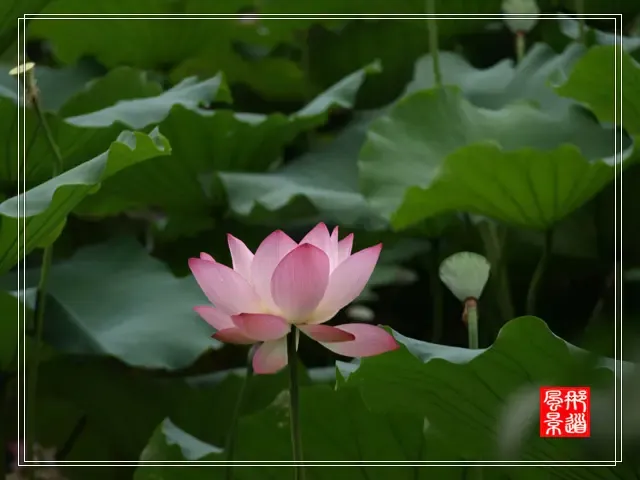 ����鿴��һ��: 222337114956