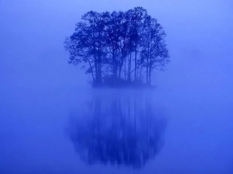 ����鿴��һ��: 9