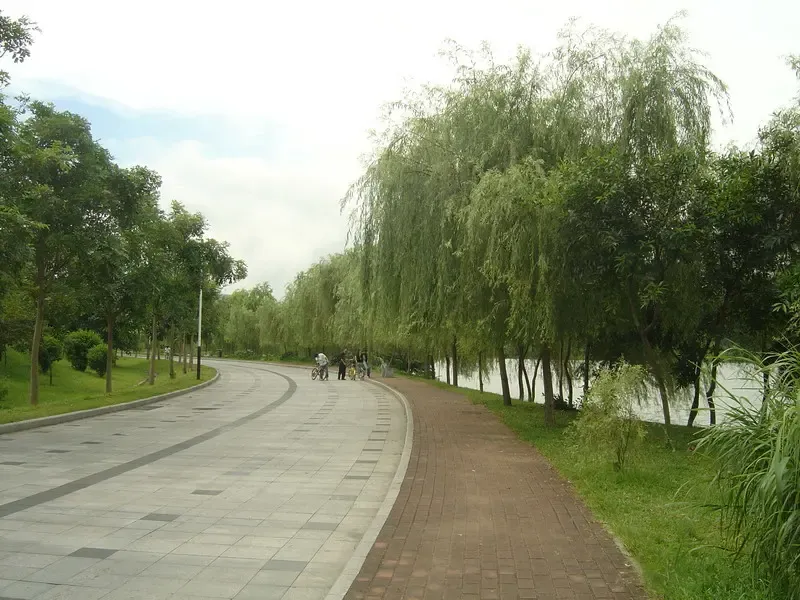 按此在新窗口浏览图片