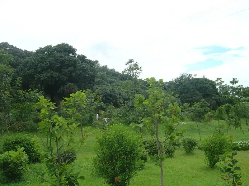按此在新窗口浏览图片