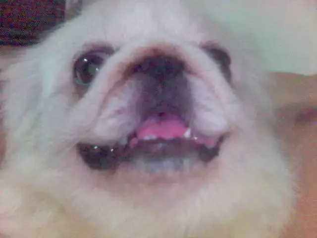 ����鿴��һ��: ͼƬ(6)