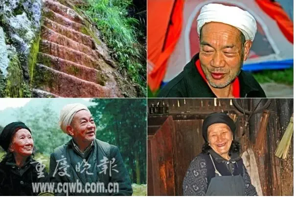 ����鿴��һ��: 6