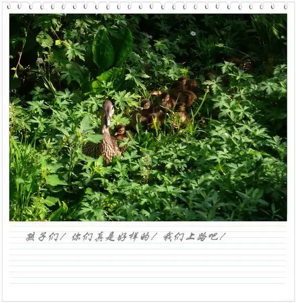 ����鿴��һ��: 16