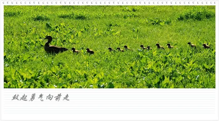 ����鿴��һ��: 18