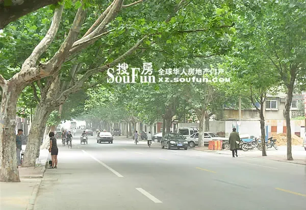 ����鿴��һ��: DSCN1460