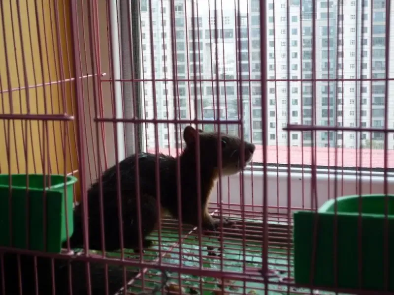 ����鿴��һ��: ������3