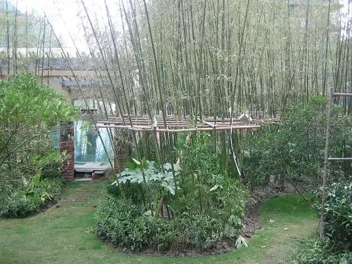 �������´������ͼƬ