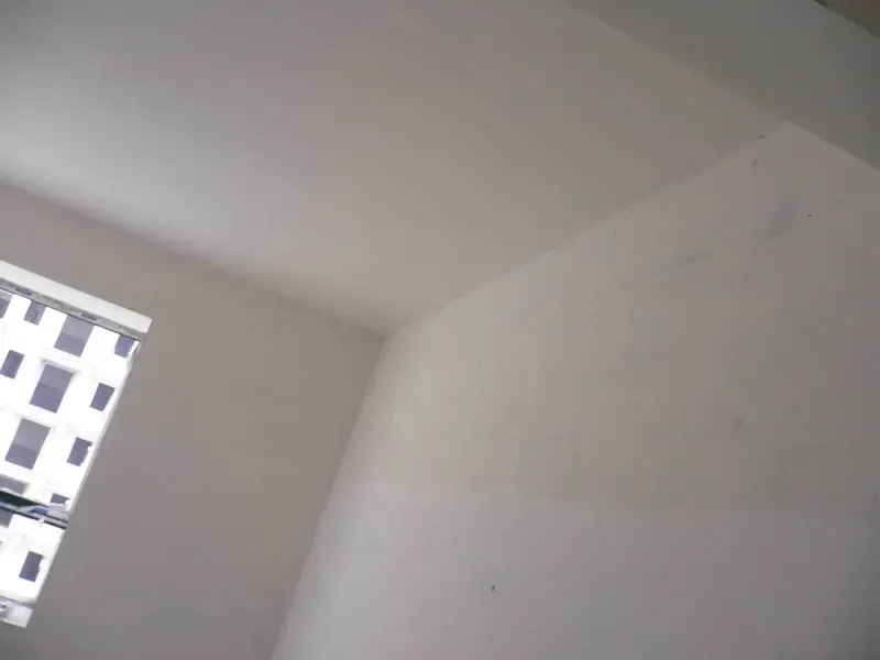 P1010861