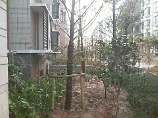 ����鿴��һ��: IMAGE_018