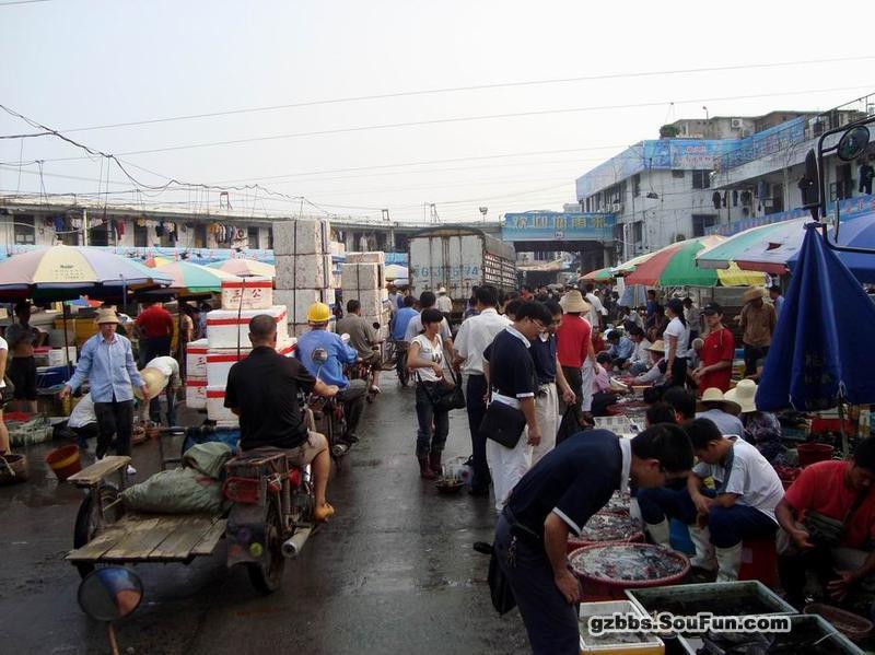 湛江东风海鲜市场价格(2)