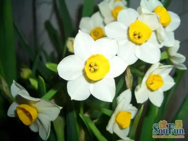 �������´������ͼƬ