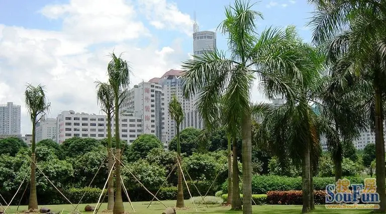 深圳经济总量位居全国大中城市第几位(2)