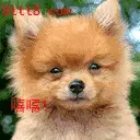 10:04:26写道:原帖 周六看见一个穿着黑色羽绒服的人,鬼鬼祟祟地走到