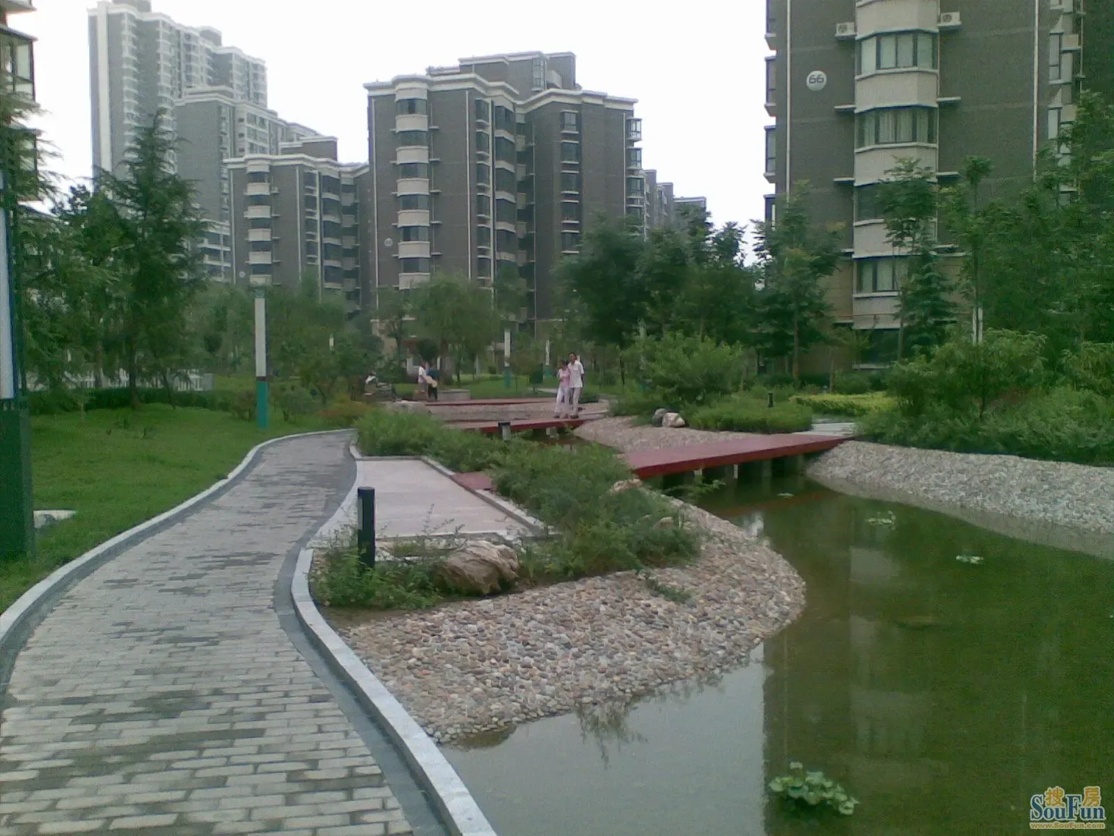 20090802(020)