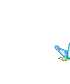 1251368319682_000