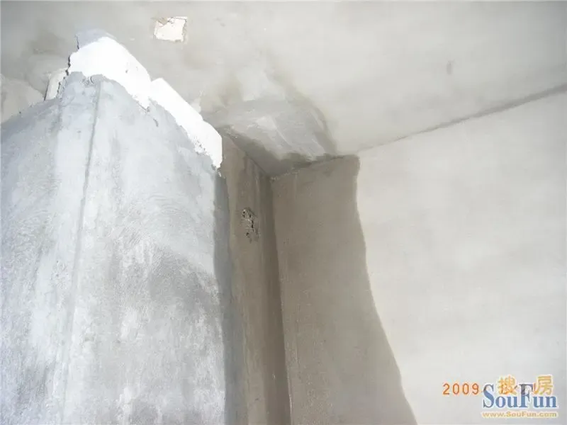 RIMG0196