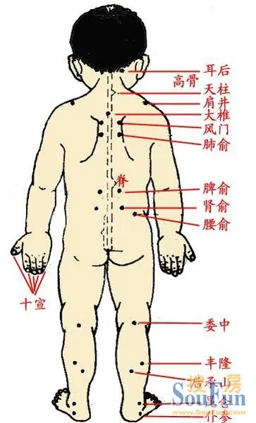 背部穴位背部经络图背部刮痧的方法图解