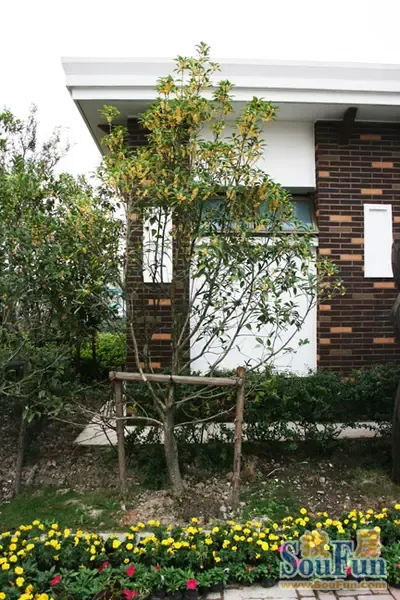 长沙南郊公园烧烤_顾村公园 烧烤 人均(2)