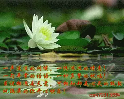 支持  &nbsp;&nbsp;  收起回复 &nbsp;举报 我要发表评论 正在载入