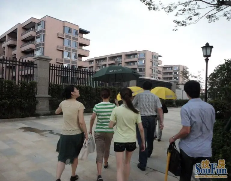 ... 高清 眼 子 菜 图片 巢 框 铜 眼 疙瘩 东北 老 鸪 眼