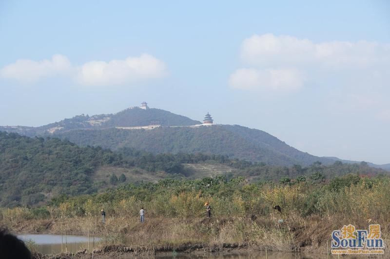 象山港海鲜_象山海鲜_象山地图(4)