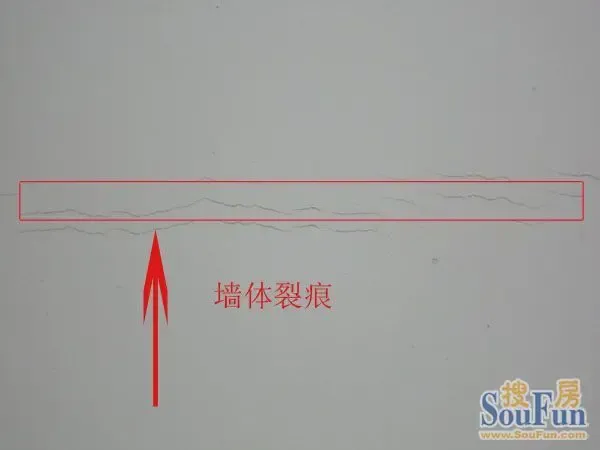 1324977502992_000.jpg