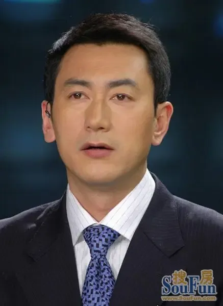 内地主持人排行榜_内地主持人收入排行榜(3)