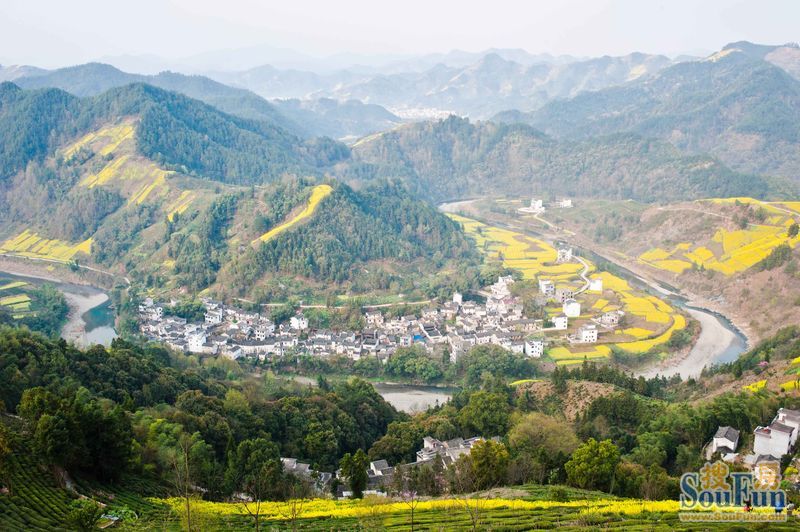 1歙县石潭下汰村观赏油菜花