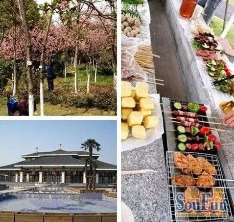长沙南郊公园烧烤_顾村公园 烧烤 人均