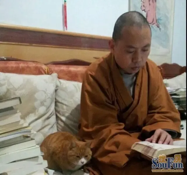 延参法师图片