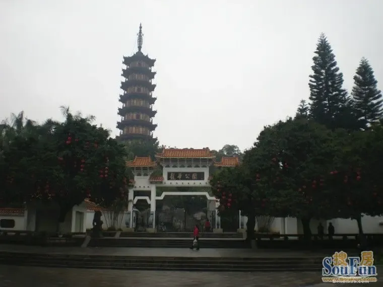 南京爱情故事我们的那些年图片