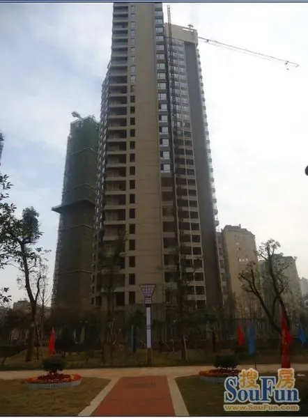 1352439647383_000.jpg