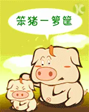 笨猪一箩筐