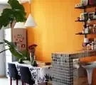�ɶ�Ů��ѧ���ⷿ���� ����Ӫ��С����ܰ�ɰ���