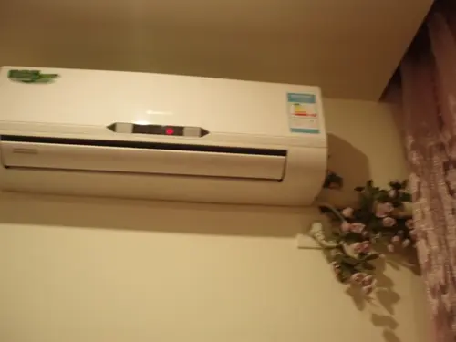 主卧室的空调管子还是用花藤遮起的.自我表扬下哈这都能让我想到.