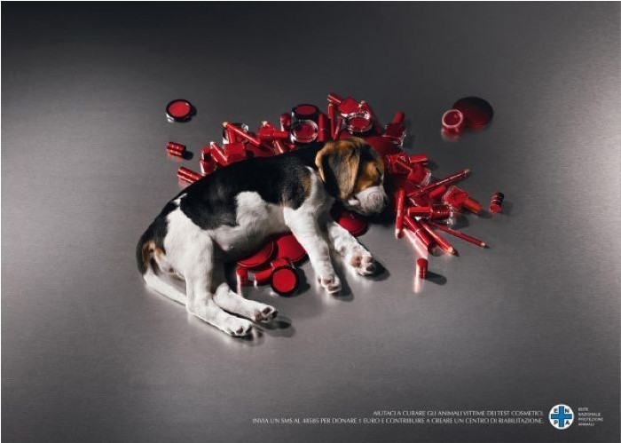 保护动物公益广告: 请关爱为化妆品做试验的动物
