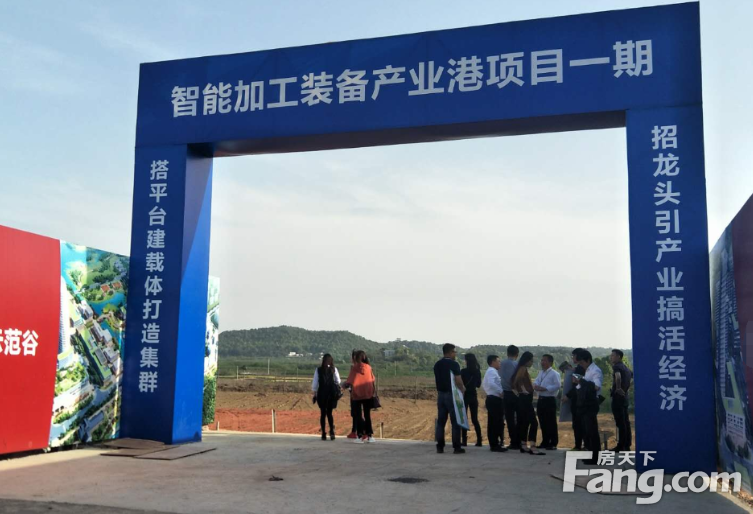 安徽六安舒城县200亩国有工业土地出售 优选高新企业