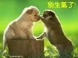 ��̳֮�ǣ�jackie_keley